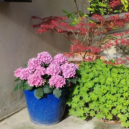 Couleur Cuivre Apartment *